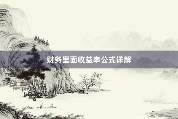 财务里面收益率公式详解