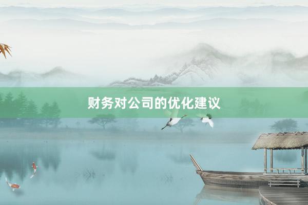 财务对公司的优化建议